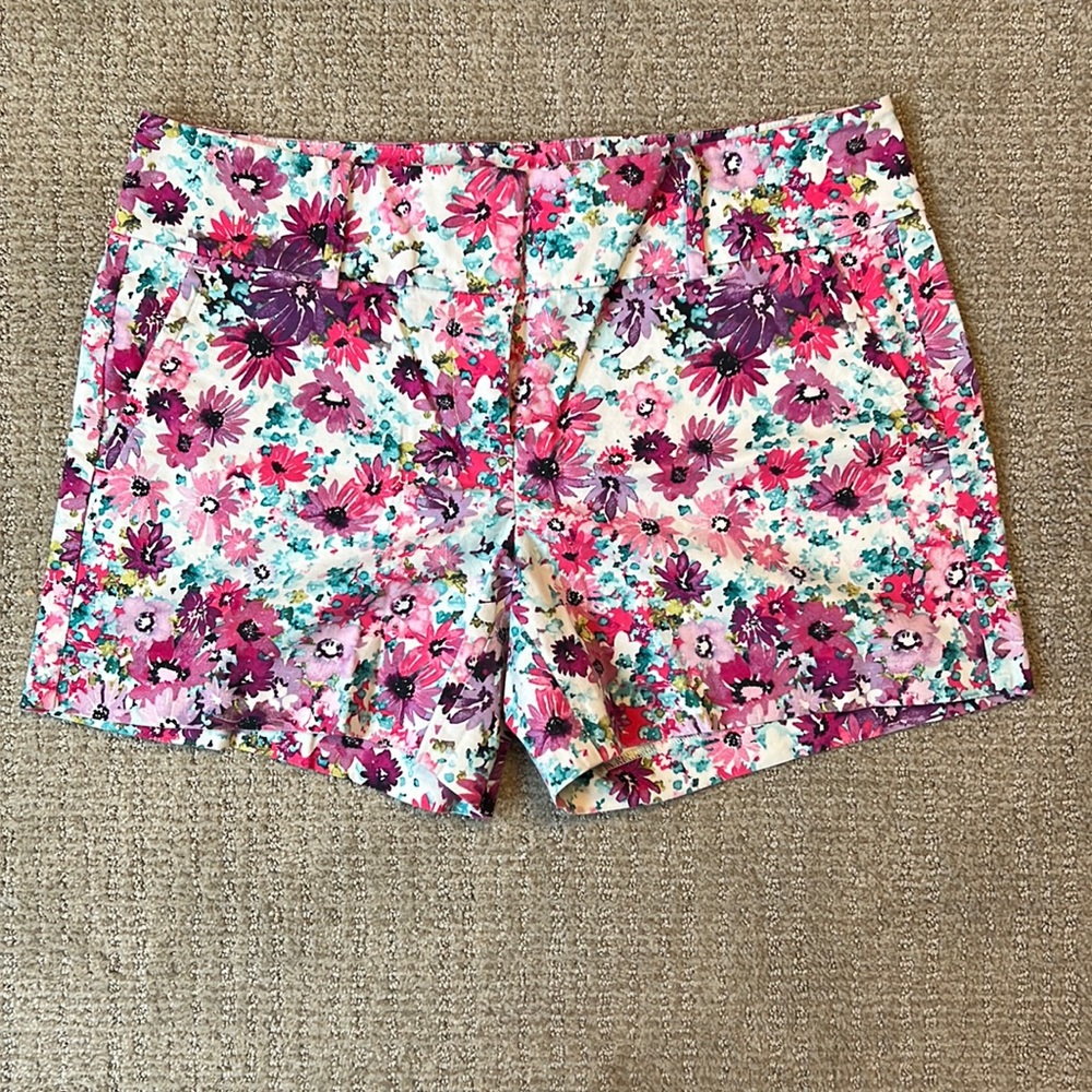 Ann Taylor Womens Shorts